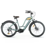 Woodee Coastliner Swan | VAE Beachcruiser | Moteur Central | 140KM Autonomie