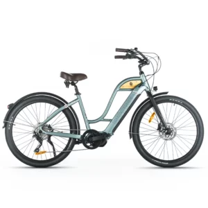 Woodee Coastliner Swan | VAE Beachcruiser | Moteur Central | 140KM Autonomie