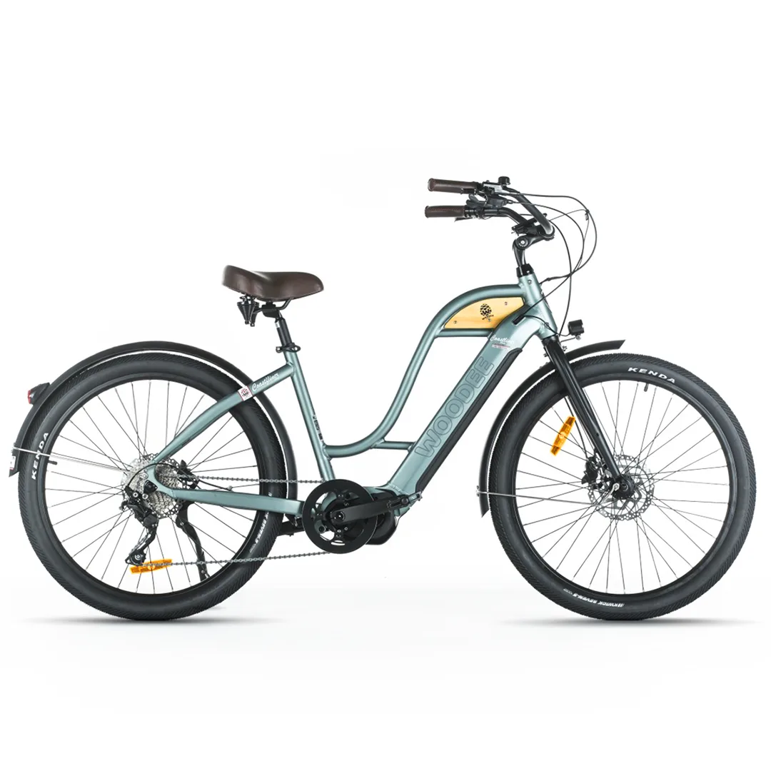 Woodee Coastliner Swan | VAE Beachcruiser | Moteur Central | 140KM Autonomie