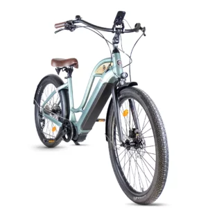 Woodee Coastliner Swan | VAE Beachcruiser | Moteur Central | 140KM Autonomie