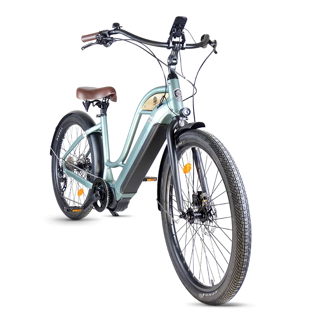 Woodee Coastliner Swan | VAE Beachcruiser | Moteur Central | 140KM Autonomie